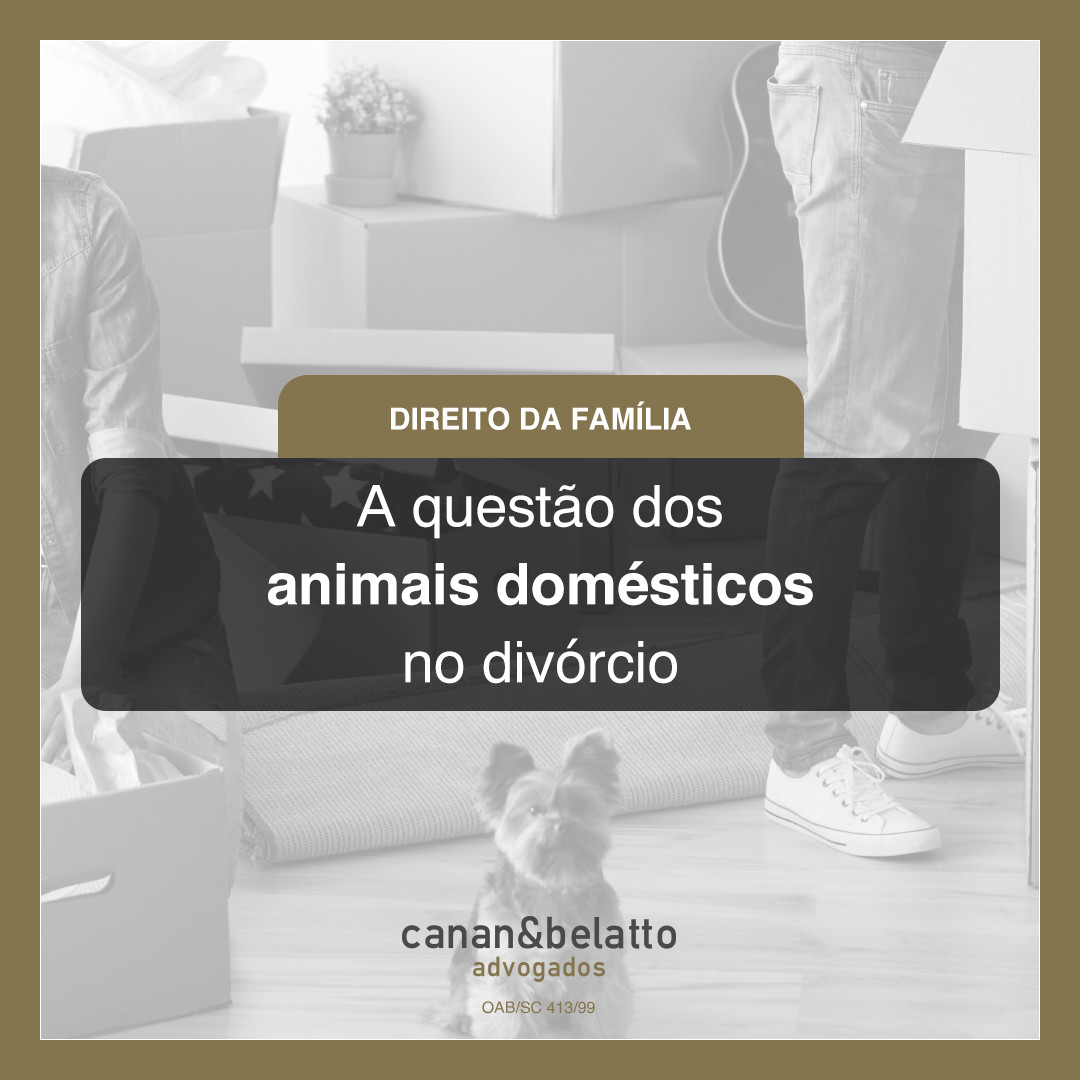 A questão dos animais domésticos no divórcio